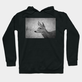 Watchful Doe B&W Hoodie